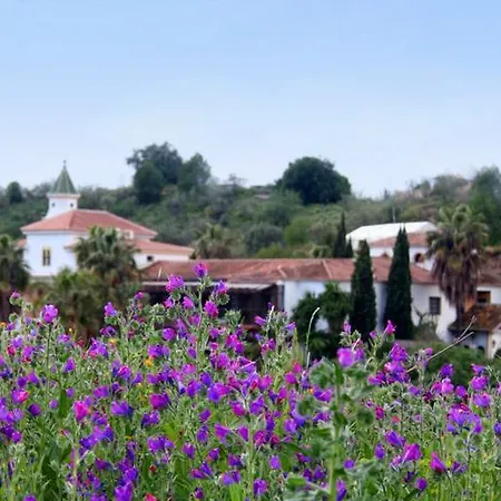 Molino De Santillan 4* Torre de Benagalbοn